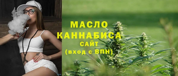 индика Верхний Тагил